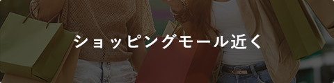 ショッピングモール近く